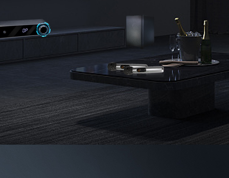 心愛1號暢銷套餐5.1客廳影K影院